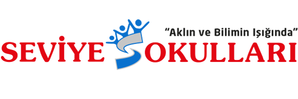 Seviye Okulları